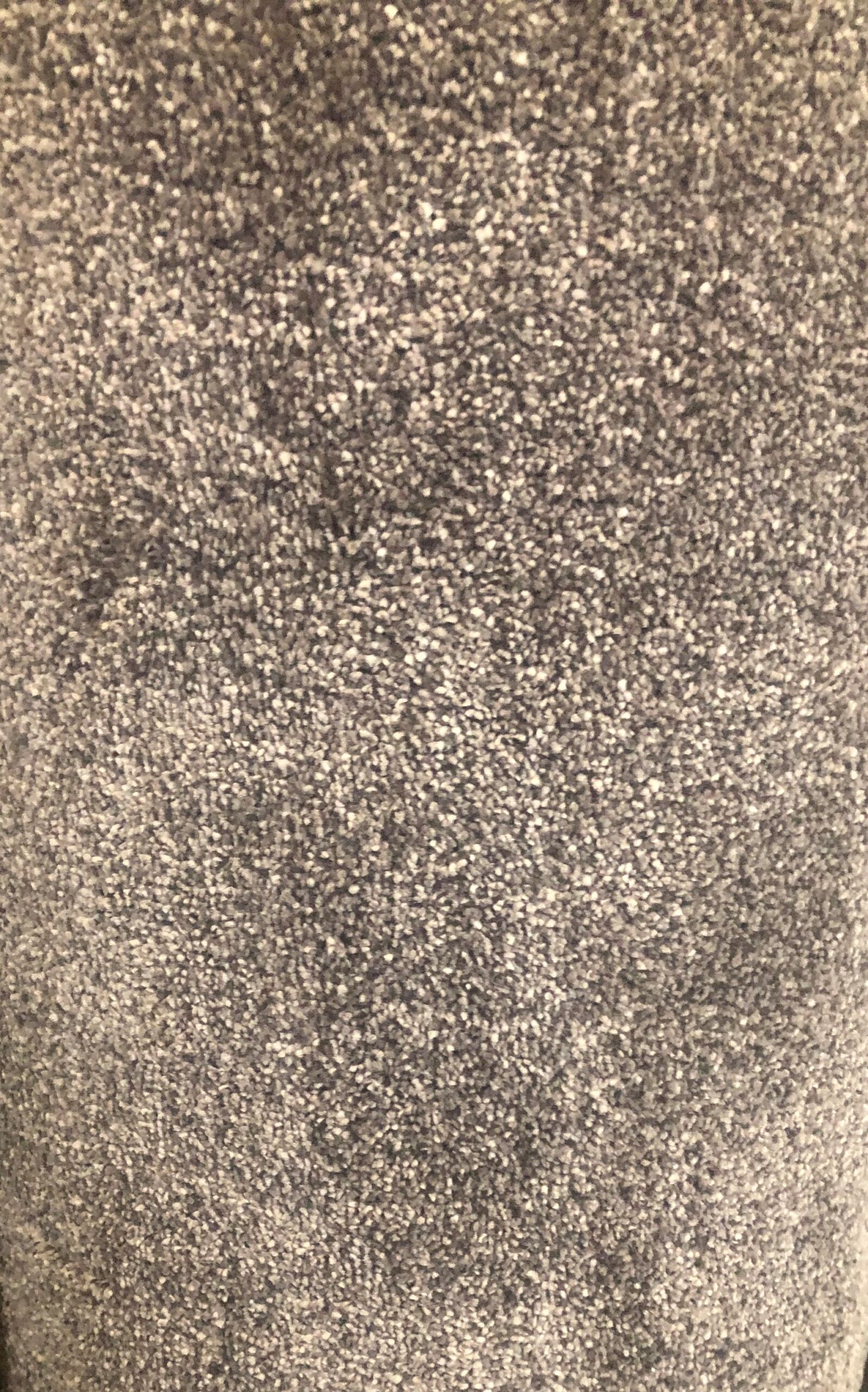 Sentimental 656 £21.51 sqm - N&P Flooring LTD